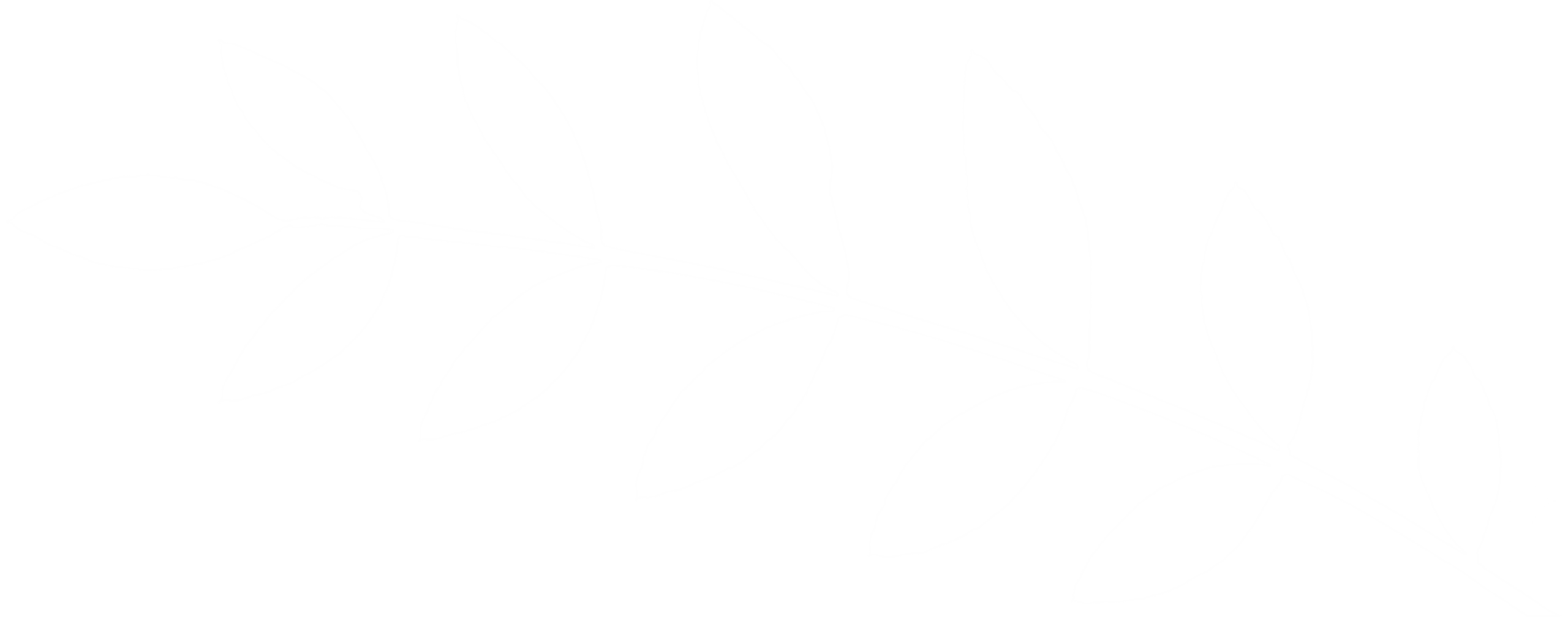 maupat-homes-care-services-leaf